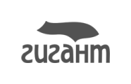 Гигант