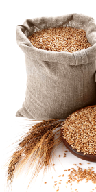 Русагро-азия